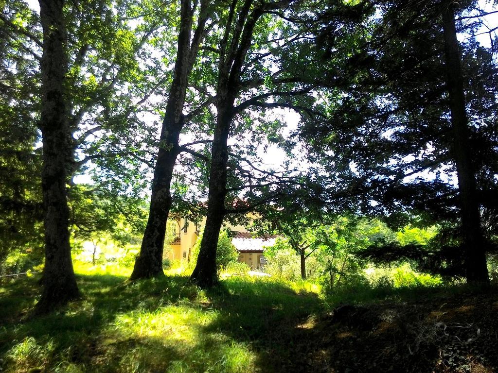Il Melo Villa Fivizzano Exteriör bild