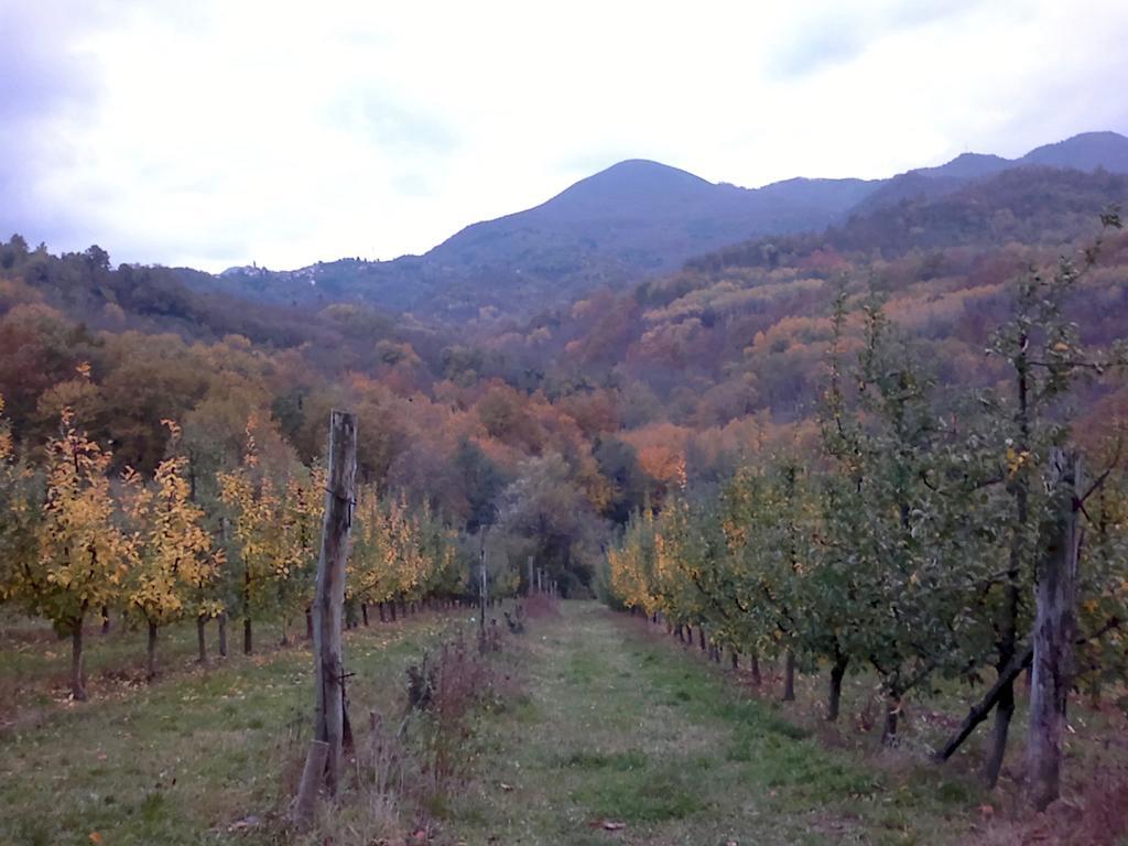 Il Melo Villa Fivizzano Exteriör bild